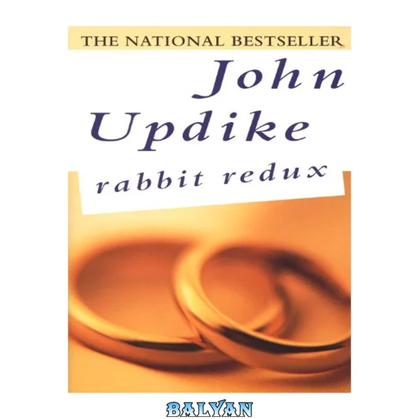 Rabbit Redux (Rabbit Angstrom, #2)