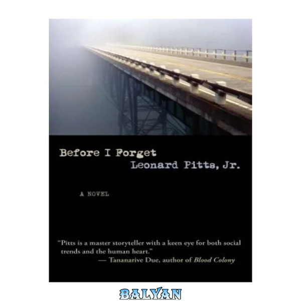 Before I forget : a novel