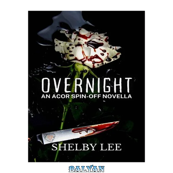 Overnight: An ACOR Spin-off Novella