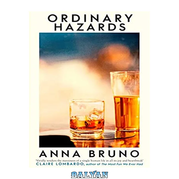 Ordinary Hazards : A Novel