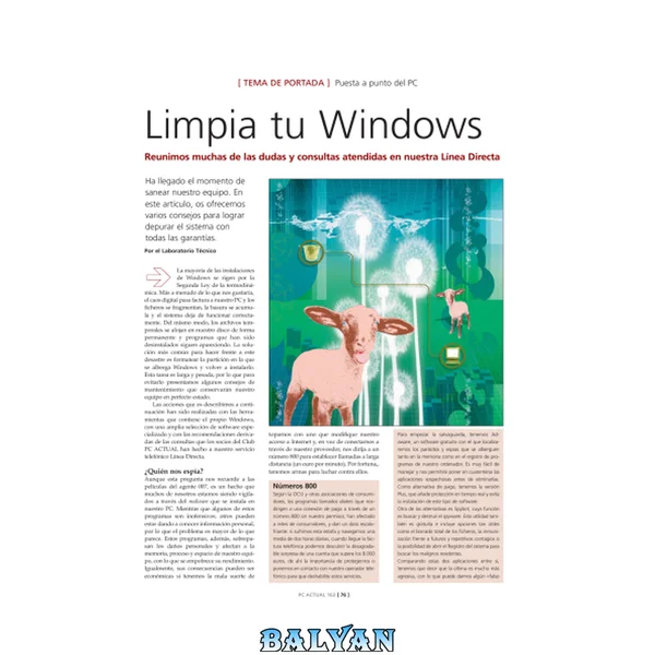 Limpia Tu Windows