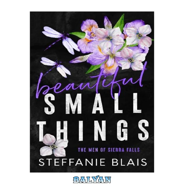 Beautiful Small Things (The Men of Sierra Falls)
