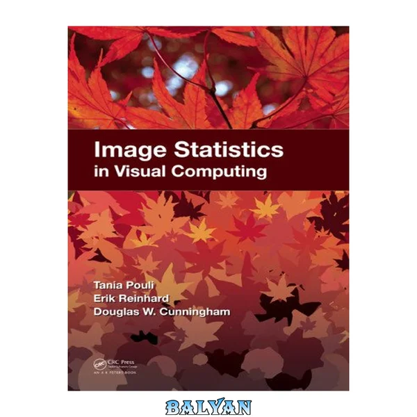 Image Statistics in Visual Computing