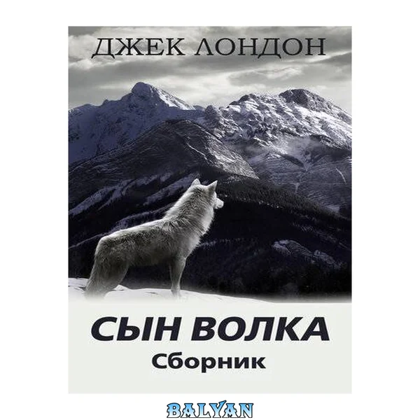 Сын Волка