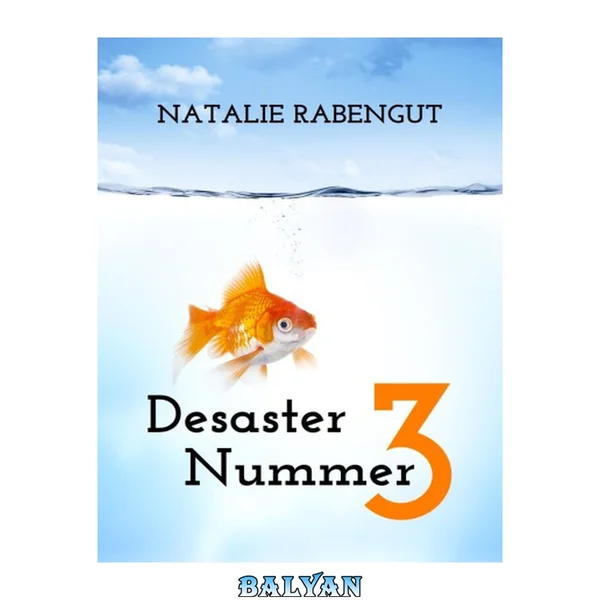 Desaster Nummer 3