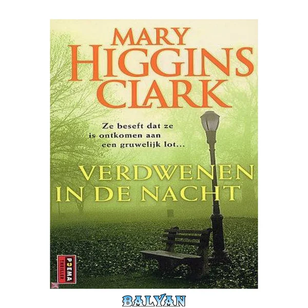 Verdwenen in de nacht