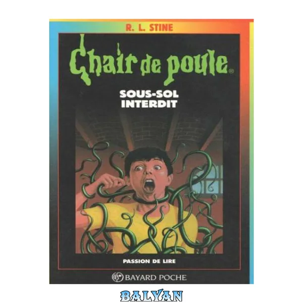 Chair de poule - 17 - Sous-sol interdit