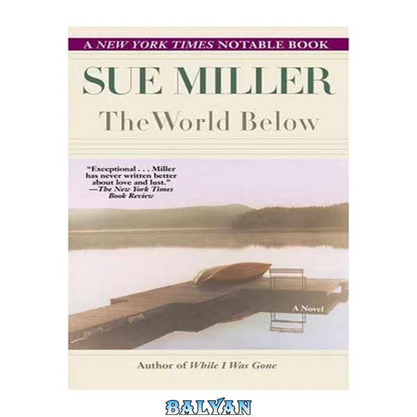 The world below : a novel