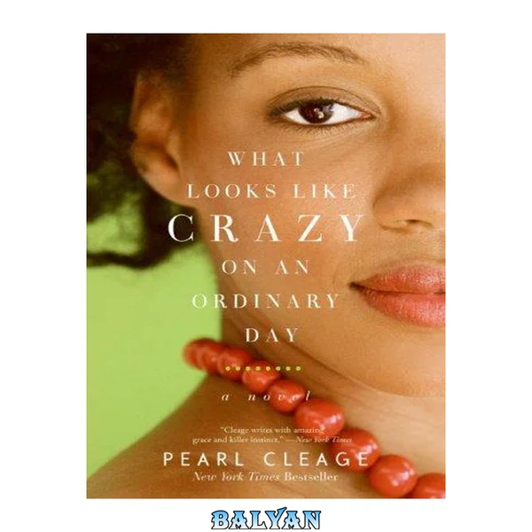 What looks like crazy on an ordinary day-- : a novel