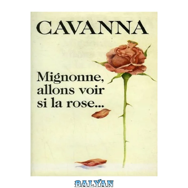 Mignone allons voir si la rose