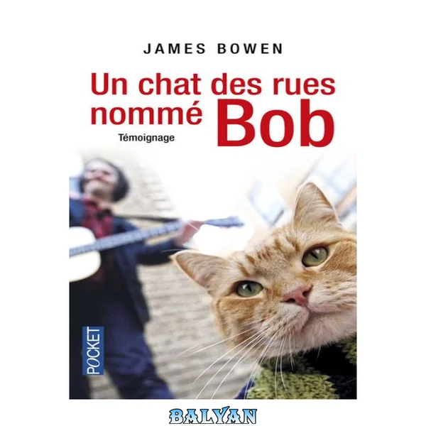 Un chat des rues nommé Bob : témoignage