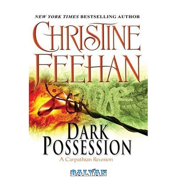 Dark possession : a Carpathian novel