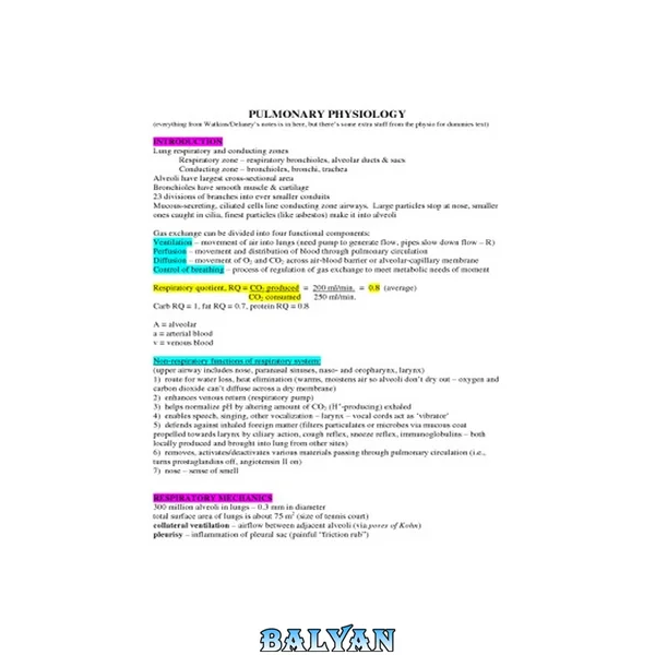 Pulmonary Physiology - Study-Notes