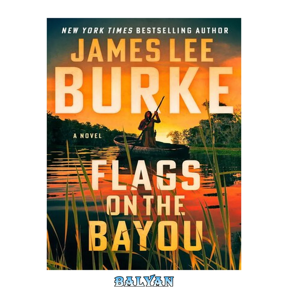 جلد کتاب Flags on the bayou : a novel
