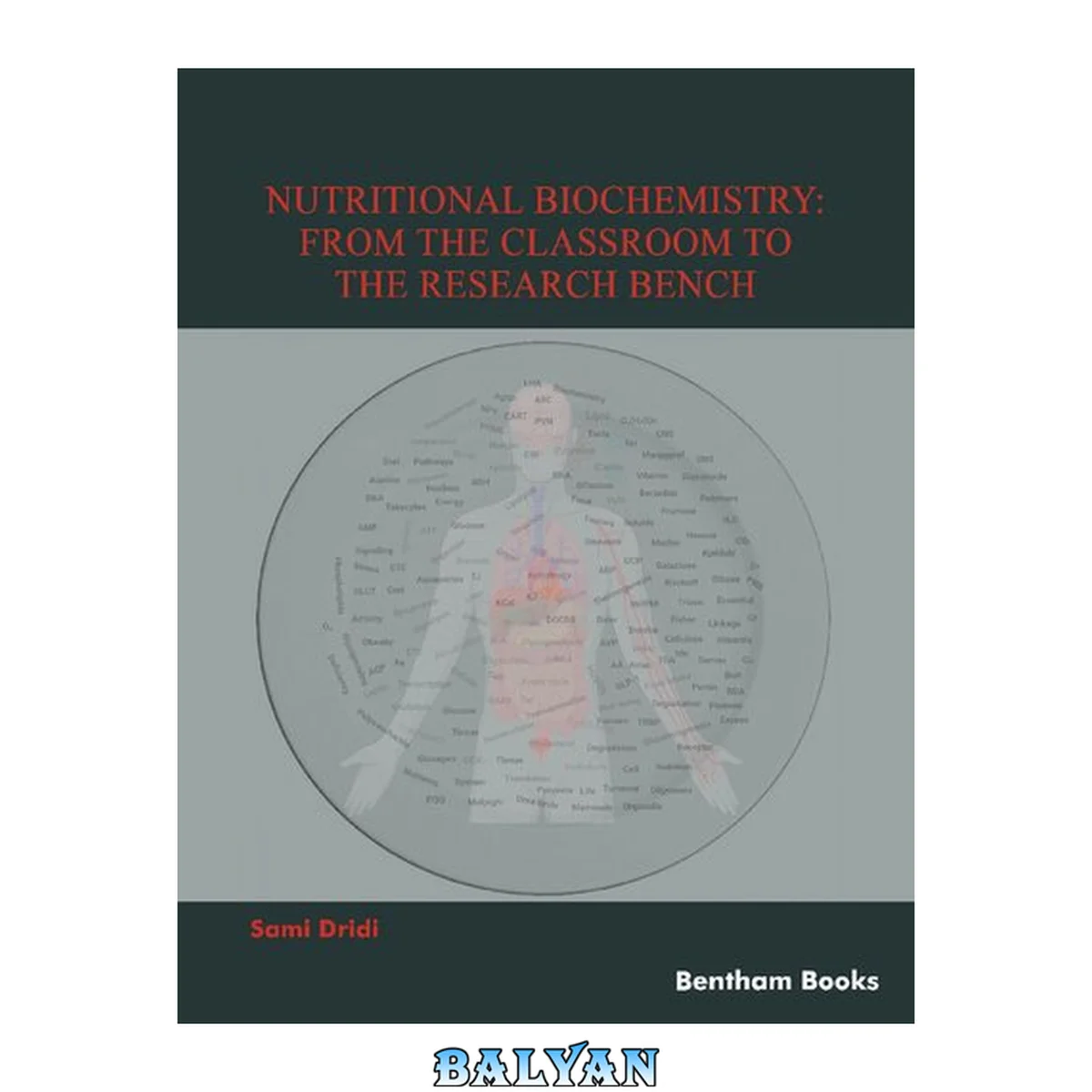 جلد کتاب Nutritional biochemistry : from the classroom to the research bench