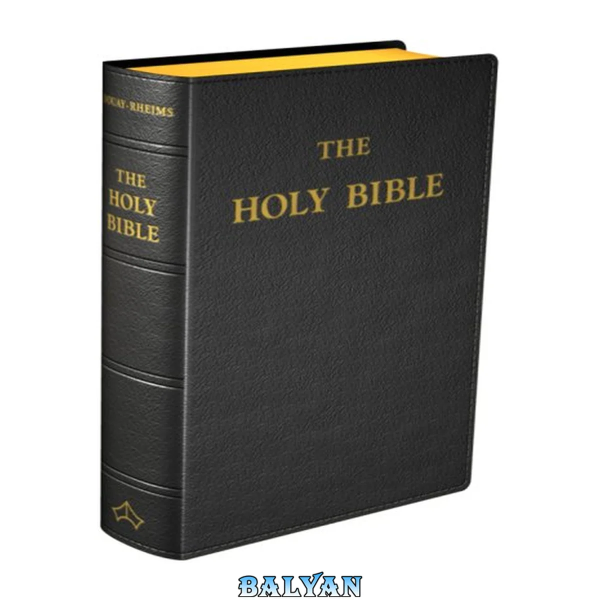 جلد کتاب New Testament - Douay-Rheims