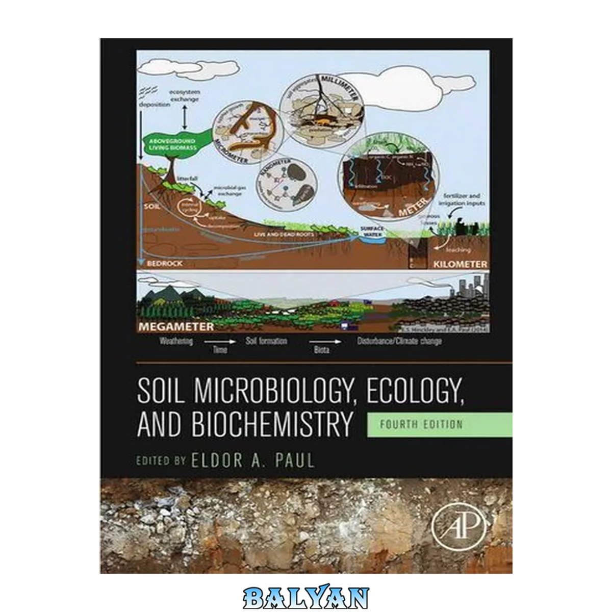جلد کتاب Soil Microbiology, Ecology, and Biochemistry