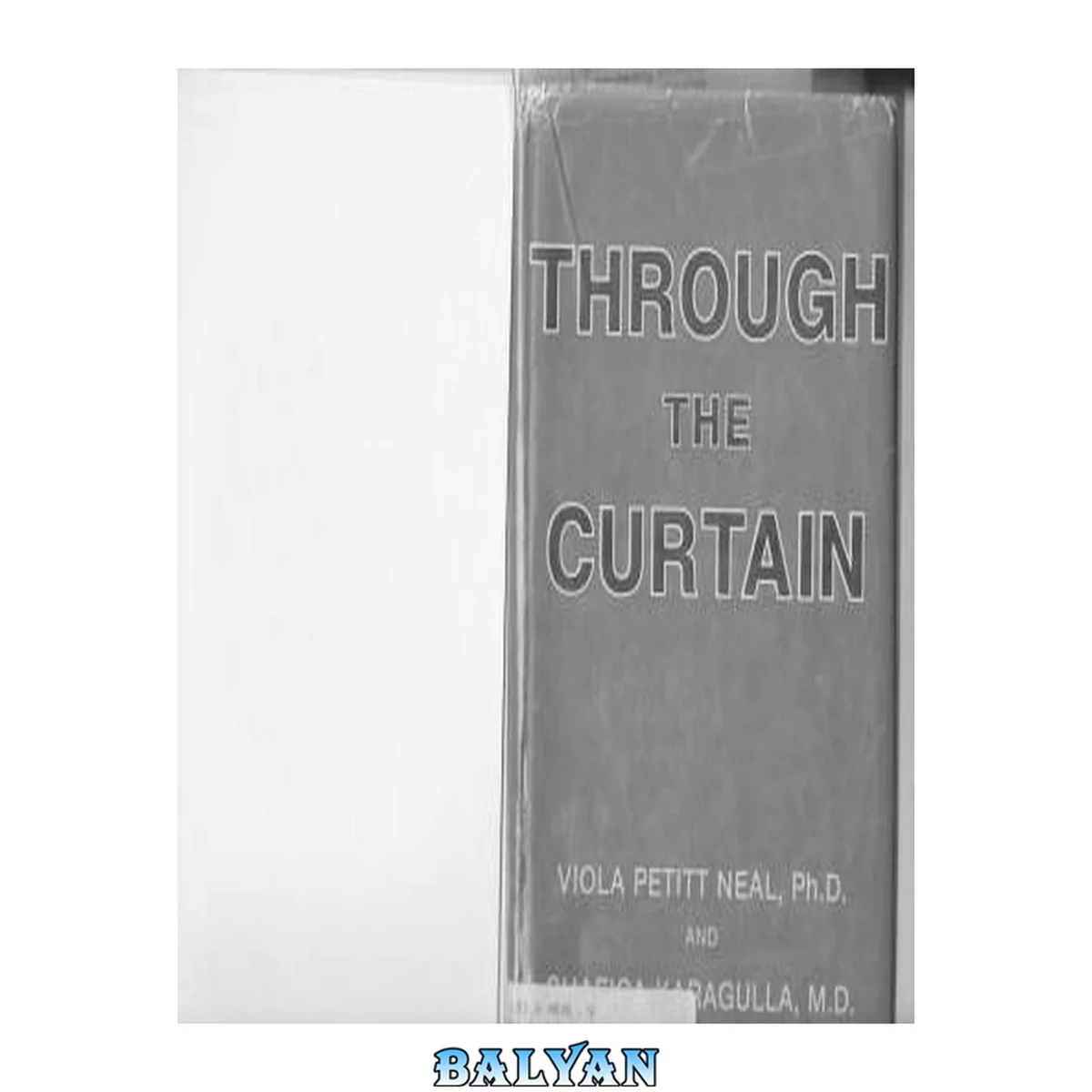 جلد کتاب Through the curtain