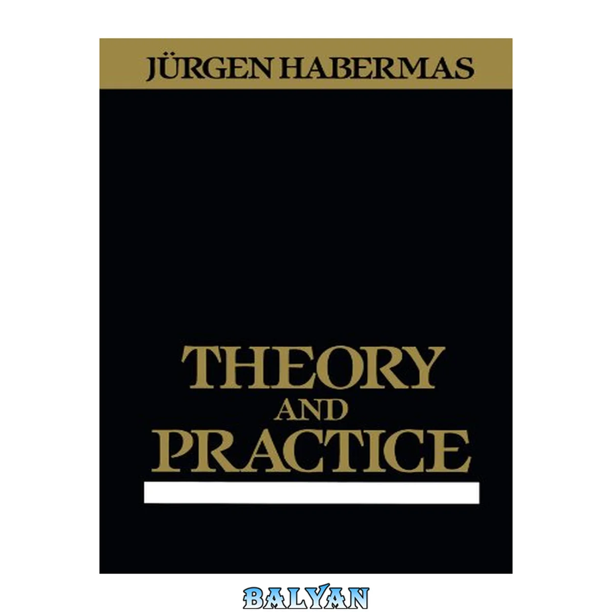 جلد کتاب Theory and Practice