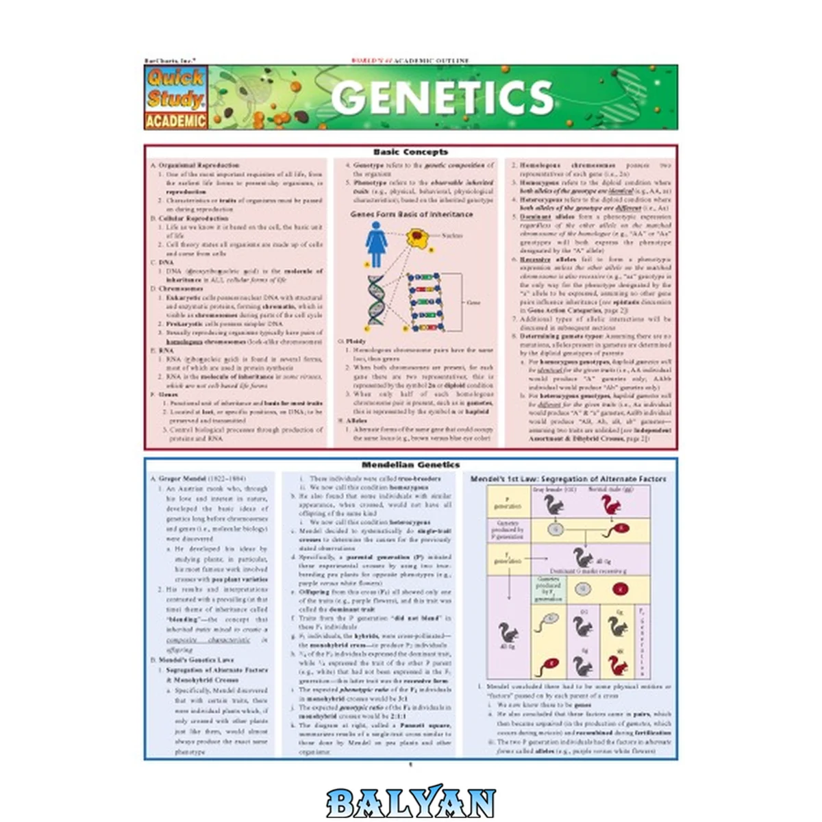 جلد کتاب Genetics Quick Reference Guide (Quick Study Academic)