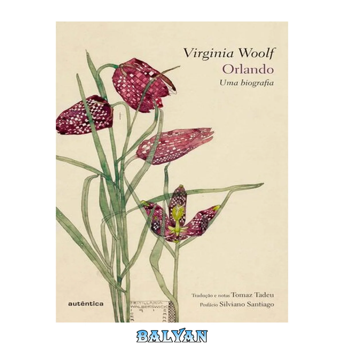 جلد کتاب Orlando: Uma biografia