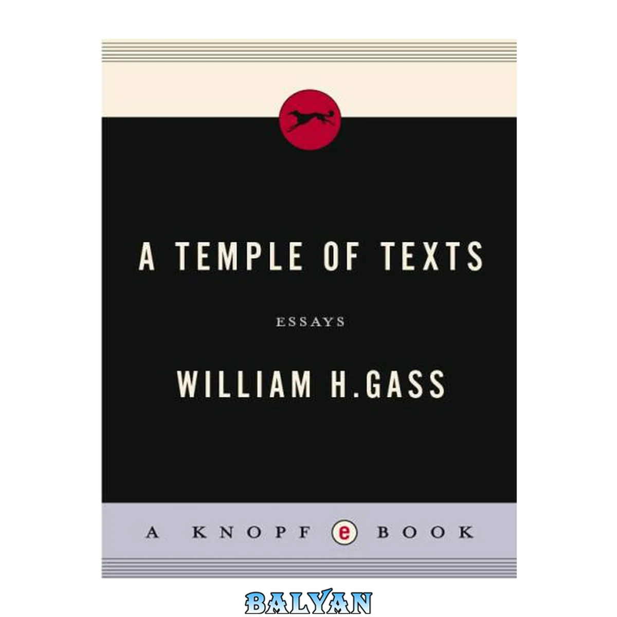 جلد کتاب A temple of texts : essays