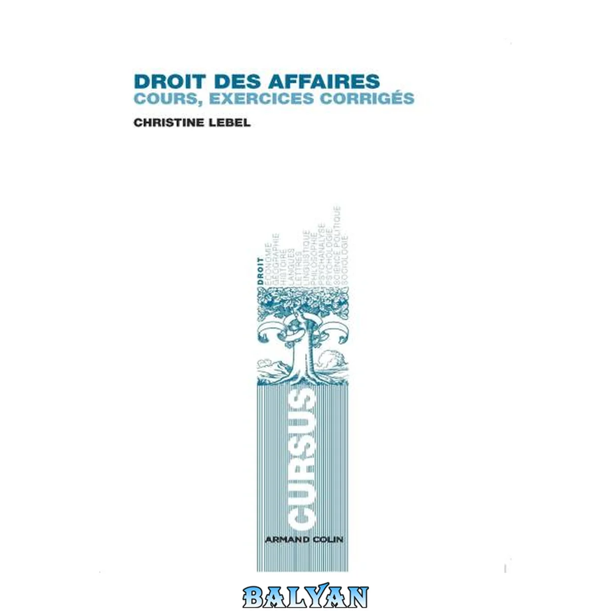 جلد کتاب Droit des affaires: Cours et exercices corrigés