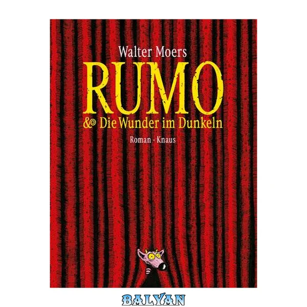 Rumo & die Wunder im Dunkeln Roman