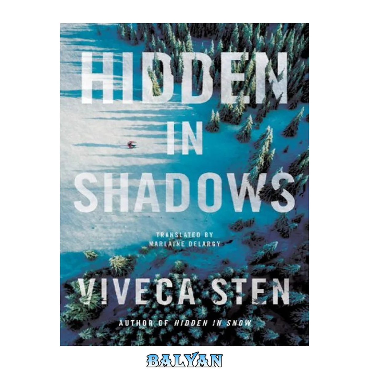 جلد کتاب Hidden in Shadows  (The re Murders #2)