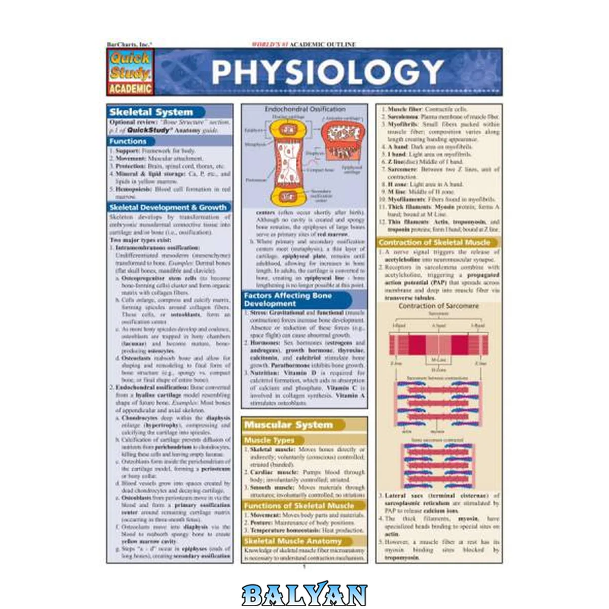 جلد کتاب BarCharts QuickStudy Physiology