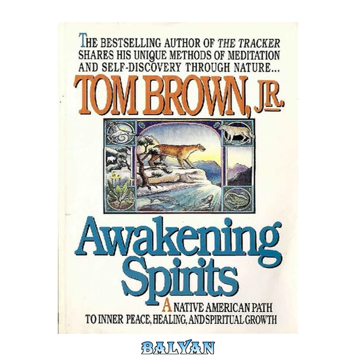 جلد کتاب Awakening Spirits: A Native American Path to Inner Peace, Healing, and Spiritual Growth (Religion and Spirituality)