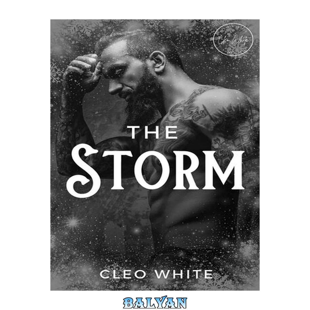 جلد کتاب The Storm