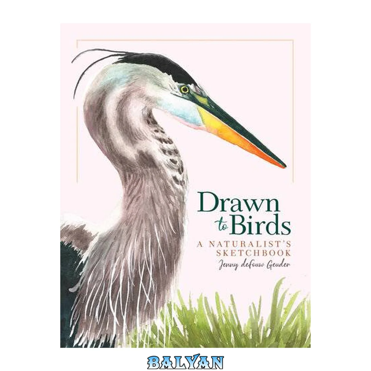 جلد کتاب Drawn to Birds: A Naturalist's Sketchbook (Jenny Geuder Art)