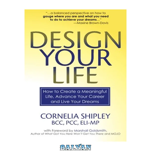 Design your life : how to create a meaningful life, advance your career and live your dreams
