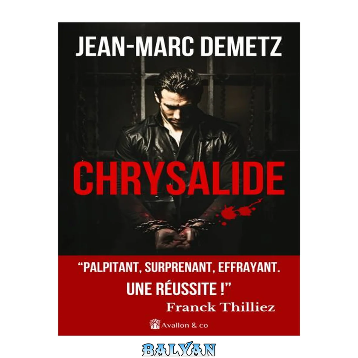 جلد کتاب Chrysalide: "Palpitant, surprenant, effrayant. Une russite !" Franck Thilliez (French Edition)