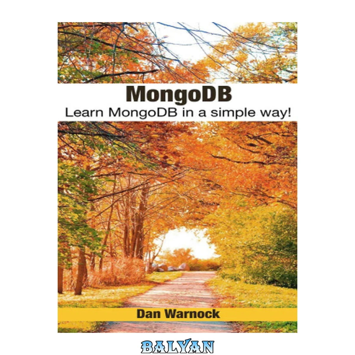 جلد کتاب MongoDB: Learn MongoDB in a simple way!