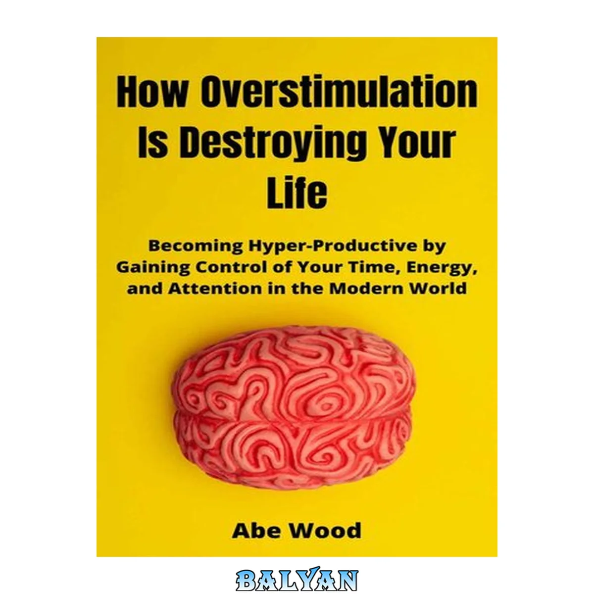 جلد کتاب How Overstimulation Is Destroying Your Life: Becoming Hyper-Productive by Gaining Control of Your Time, Energy, and Attention in the Modern World