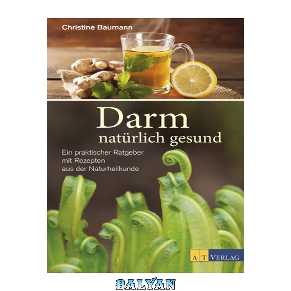 جلد کتاب Darm - natürlich gesund - eBook Ein praktischer Ratgeber mit Rezepten aus der Naturheilkunde