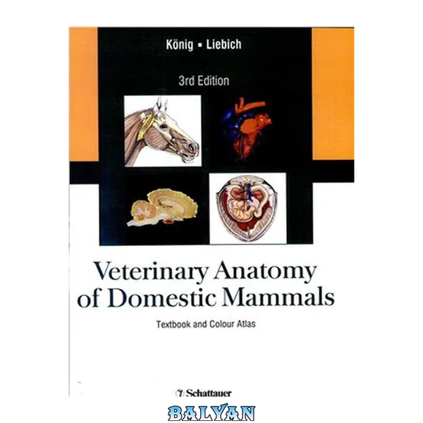 Veterinary Anatomy of Domestic Mammals