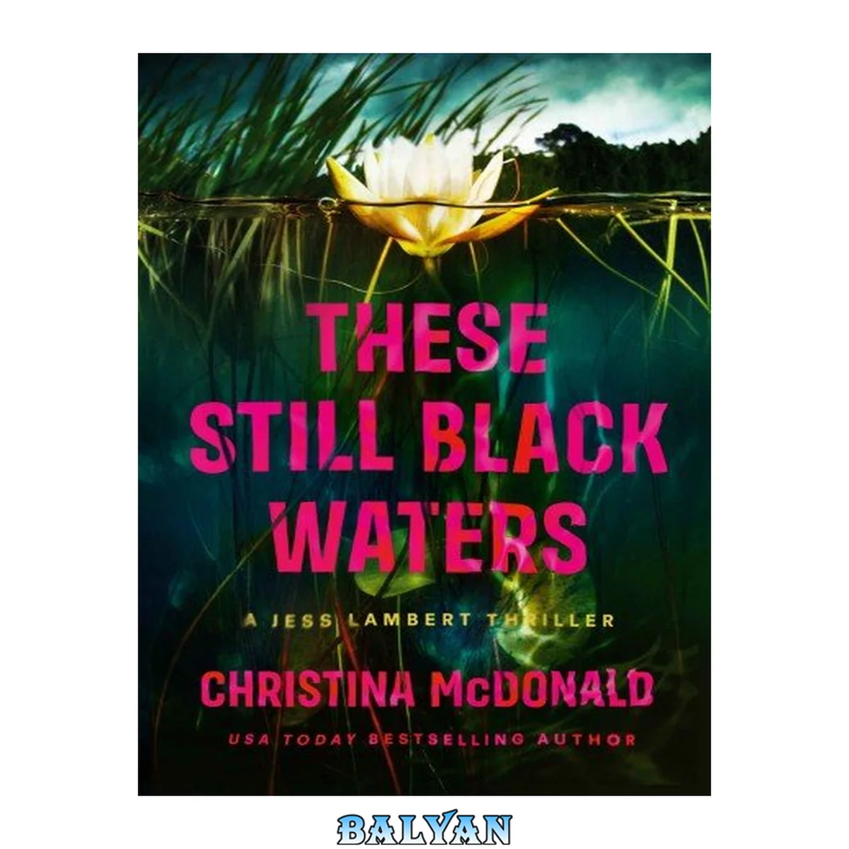 جلد کتاب These Still Black Waters (Jess Lambert, #1)