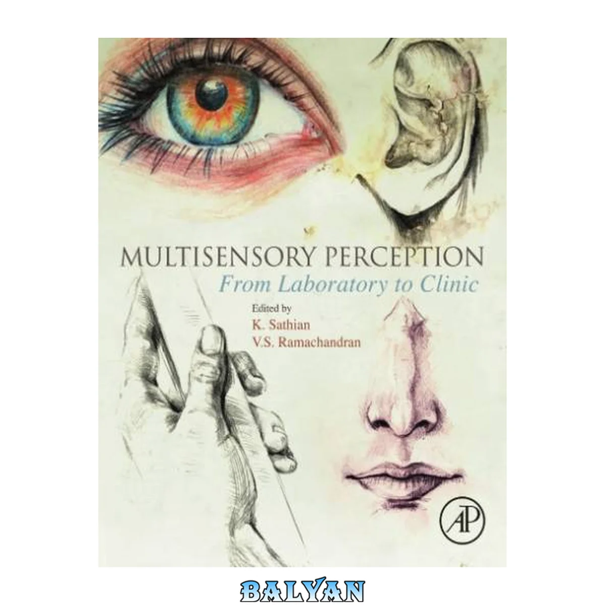 جلد کتاب Multisensory Perception : From Laboratory to Clinic