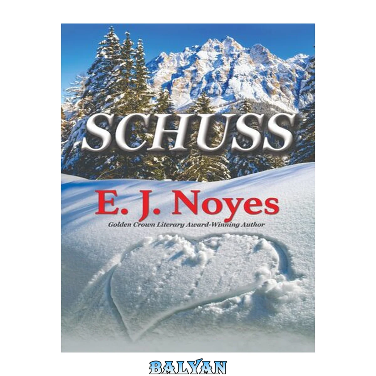 جلد کتاب Schuss