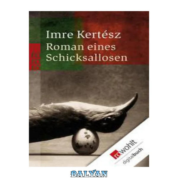 Roman eines Schicksallosen