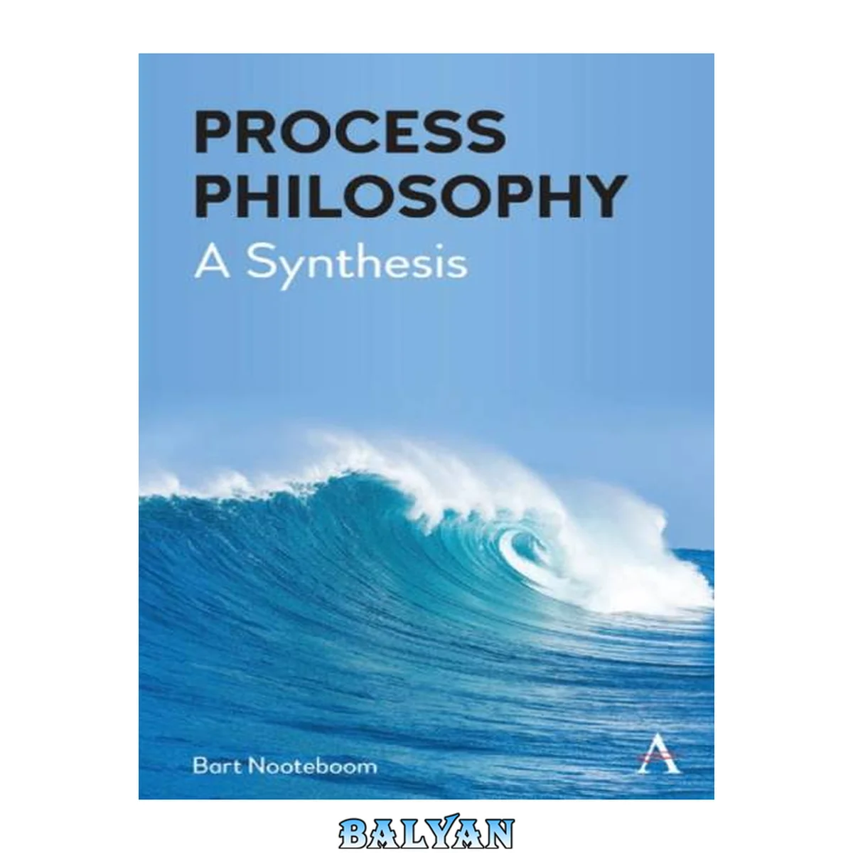 جلد کتاب Process philosophy : a synthesis