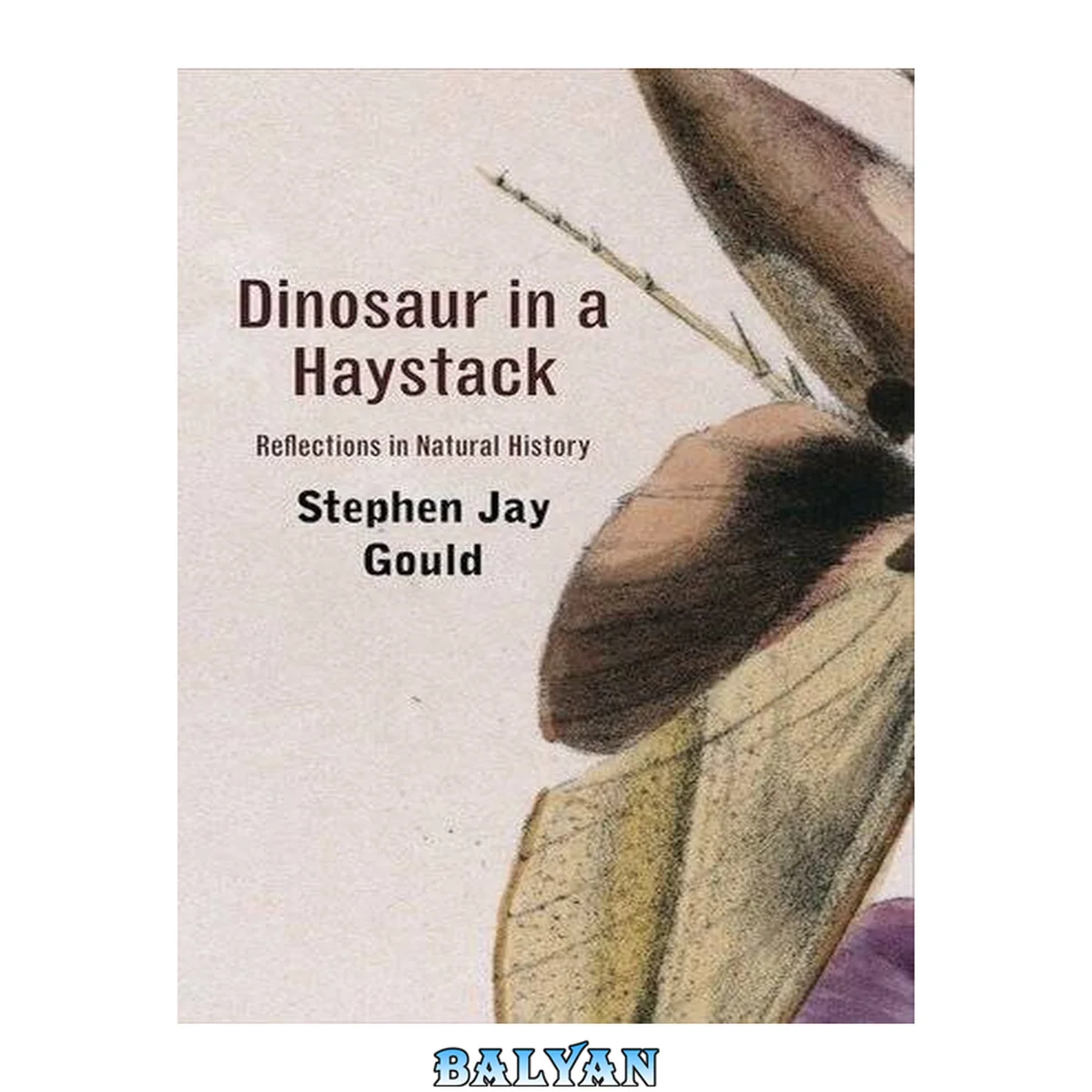 جلد کتاب Dinosaur in a haystack : reflections in natural history