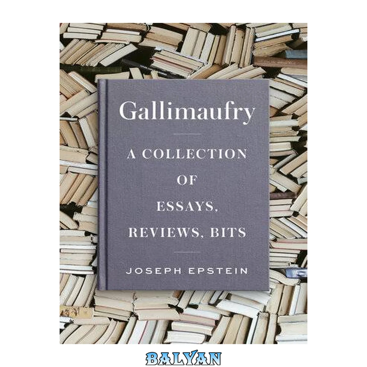 جلد کتاب Gallimaufry : A Collection of Essays, Reviews, Bits