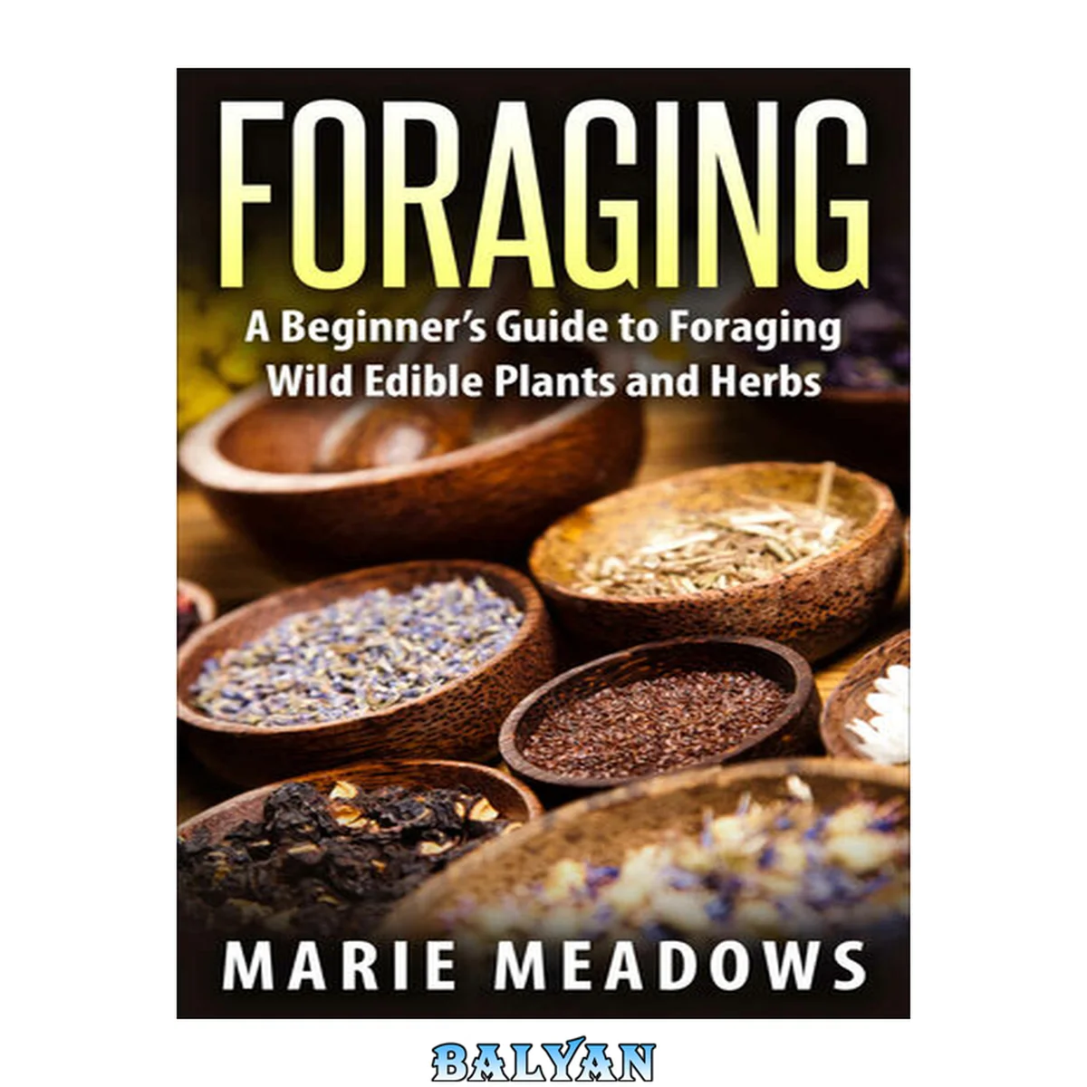 جلد کتاب Foraging: A Beginner's Guide To Foraging Wild Edible Plants And Herbs