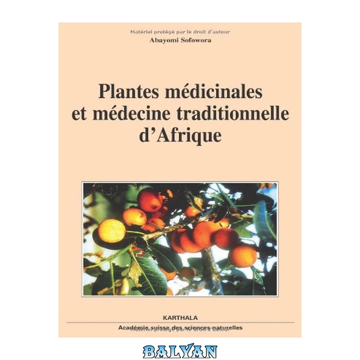 جلد کتاب Plantes médicinales et médecine traditionnelle d'Afrique