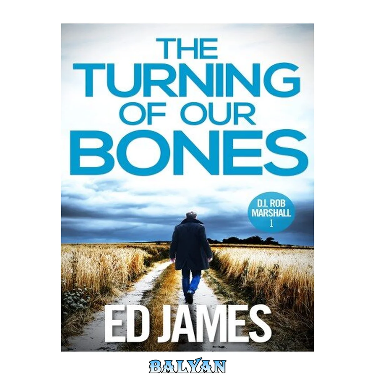 جلد کتاب The Turning of our Bones