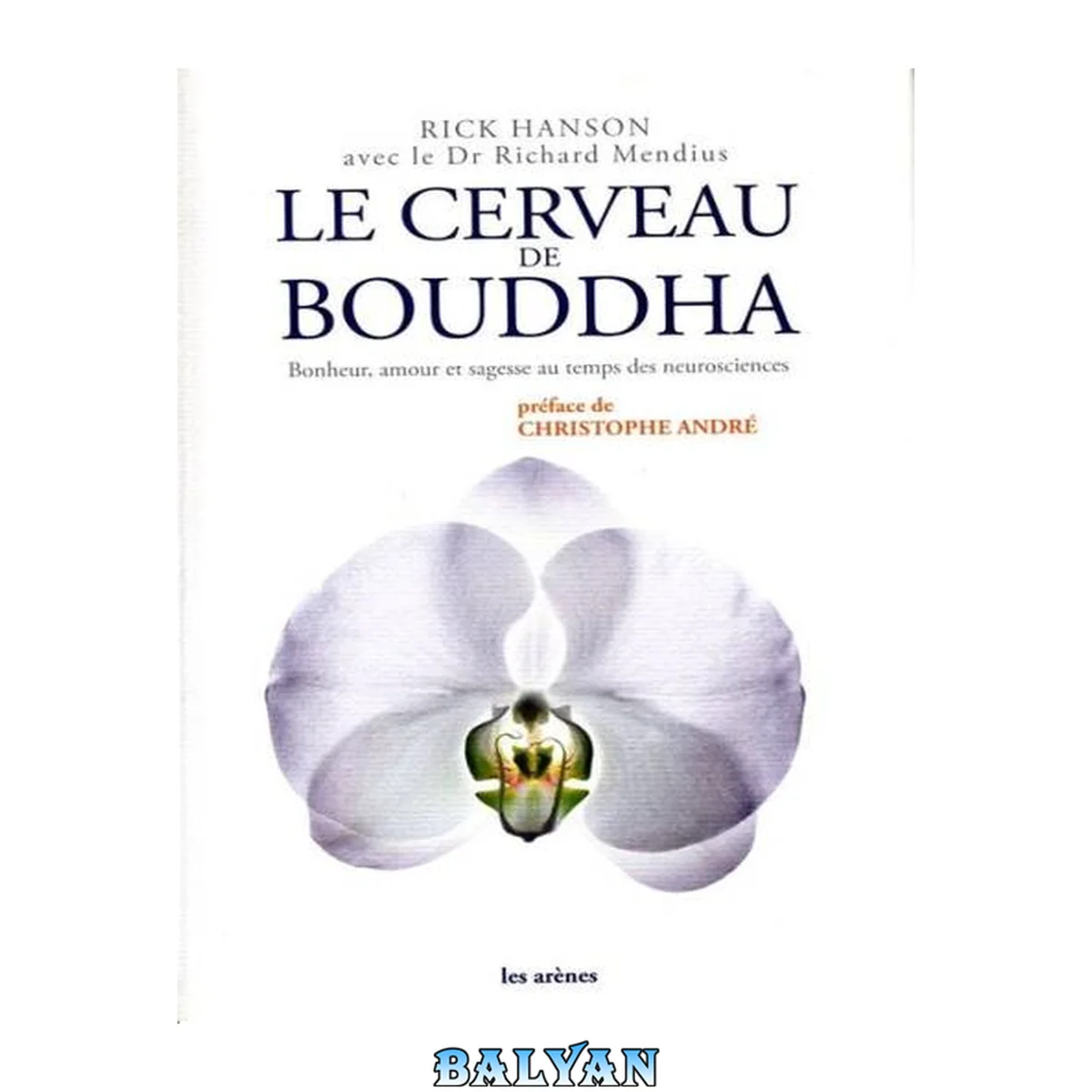 جلد کتاب Le cerveau de Bouddha : bonheur, amour et sagesse au temps des neurosciences (psychologie) (French Edition)